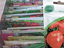 Волгоградцы узнали, как понимать буквы, цифры и термины на семенах