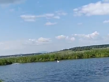 В Чебаркульском районе возле мусорки нашли птенца лебедя
