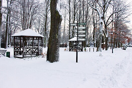 12 событий декабря: Куда сходить в Калининграде в первый месяц зимы