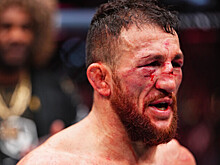 «Никогда не верьте ни единому его слову». Двалишвили назвал россиянина Петра Яна лжецом