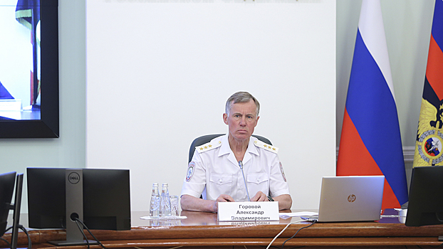 Александр Горовой провел внеочередное заседание Оперативного штаба МВД России по профилактике правонарушений