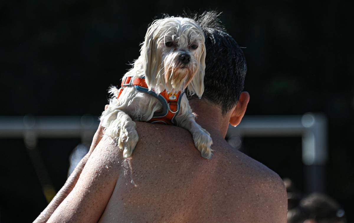 В российском городе ввели режим повышенной готовности из-за жары