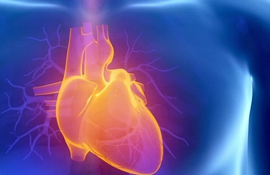 Названы три лучших витамина для здоровья сердца