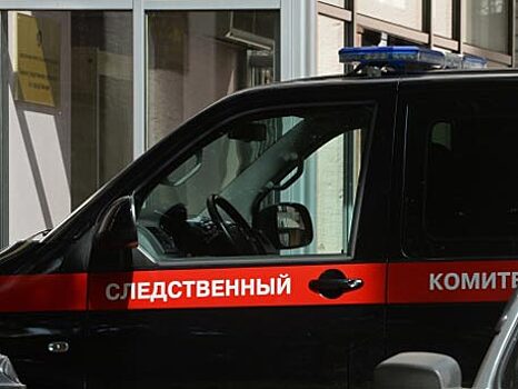 Жительница Подмосковья созналась в убийстве пятилетнего сына