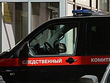 Жительница Подмосковья созналась в убийстве пятилетнего сына