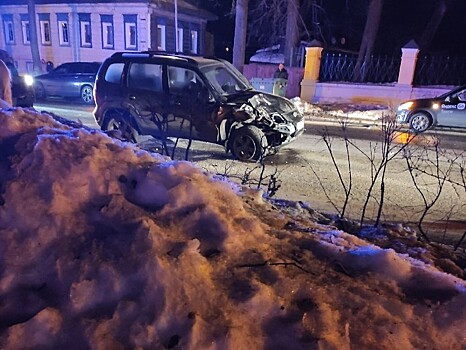 Во Владимирской области в  ДТП с участием гужевой повозки есть пострадавшие