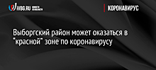 Выборгский район может оказаться в “красной” зоне по коронавирусу