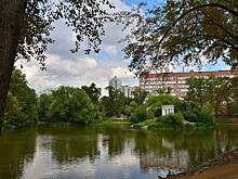 Гигантские пельмени всплыли в центре российского города