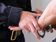 В аэропорту Шереметьево задержали бывшего главу «Трансфин-М»