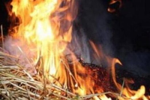 В Орловской области в 2018 году произошло 67 пожаров