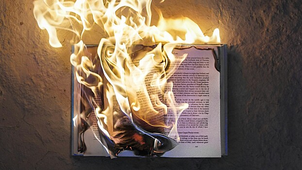 Мужчина решил бороться с неправильной историей преступным методом