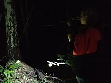 Поисковики напомнили пензенцам базовые правила выживания