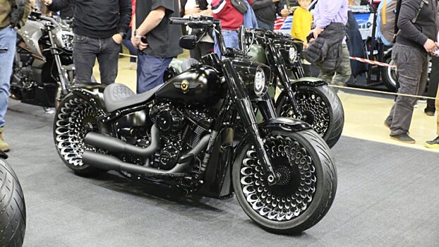 Мотовесна проходит в Москве