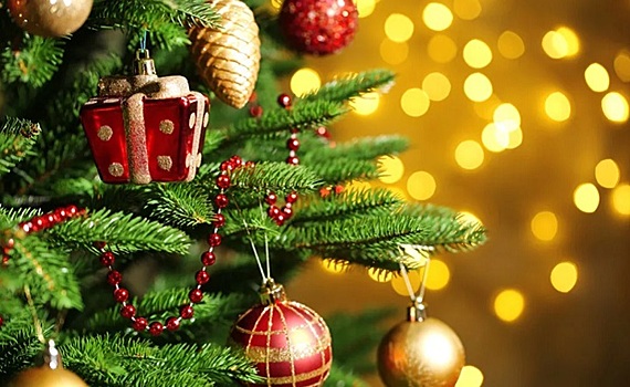Самую высокую в донском регионе новогоднюю ель установят в Новочеркасске