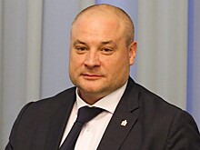 В рязанском правительстве уточнили причину ухода Грекова
