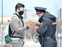 Персональные данные оформлявших цифровые пропуска россиян удалили