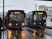 Автобусы маршрутов 19, 400 и 400Т будут работать всю новогоднюю ночь