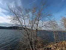 18 ноября Самарскую область накрыл сильный ветер