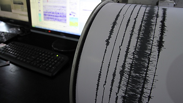 На Камчатке зафиксировали землетрясение магнитудой 4,6
