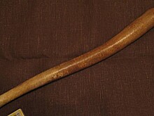 Трое мужчин украли знаменитый моржовый пенис