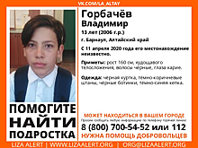 Волонтеры попросили кузбассовцев помочь с поисками юного жителя Барнаула