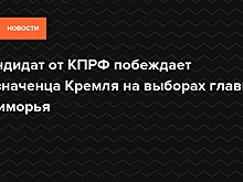 В КПРФ выступили против новых выборов губернатора в Приморье