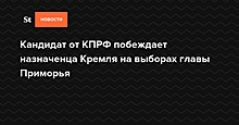 В КПРФ выступили против новых выборов губернатора в Приморье