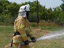 МЧС объявило чрезвычайную пожарную опасность в районах Волгоградской области