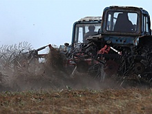 Минсельхоз: в России стартовали весенние полевые работы