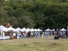 На фестиваль в армянский Дилижан съехались виноделы со всей страны