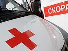Аэроэкспресс в Домодедово стал самым популярным у пассажиров
