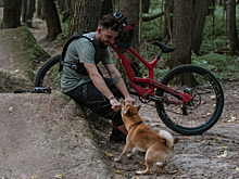 Кинолог перечислил правила велосипедных прогулок с собакой