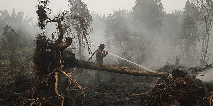 Лесные пожары в Индонезии продолжаются