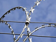 Амнистия в Беларуси: от уголовного наказания освободят около 4,5 тыс. осужденных