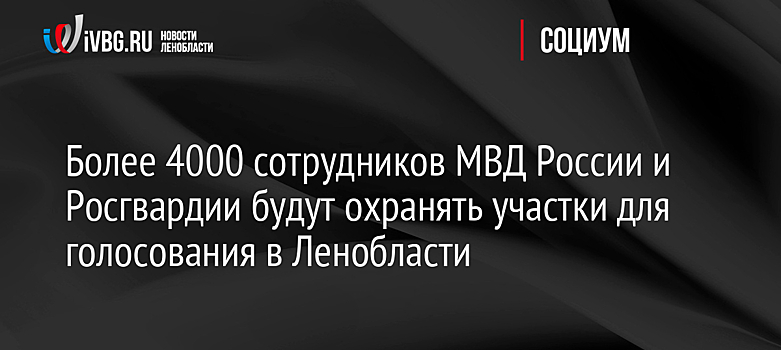 Более 4000 сотрудников МВД России и Росгвардии будут охранять участки для голосования в Ленобласти