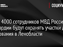 Более 4000 сотрудников МВД России и Росгвардии будут охранять участки для голосования в Ленобласти