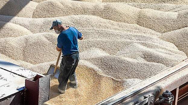 В Европе признали проблемы с вывозом украинского зерна