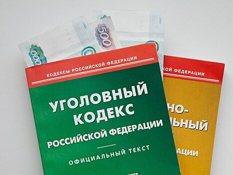 В России разработали новую статью Уголовного кодекса о налоговом мошенничестве