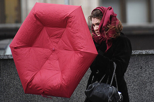 «Желтый» уровень опасности из-за мокрого снега и гололедицы объявлен в столичном регионе по 22 ноября