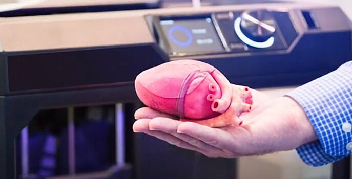 На 3D-принтере напечатали человеческое сердце