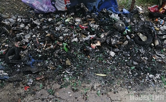 На Ермошкином озере в Курске вандалы сожгли мусорный контейнер