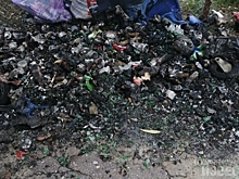 На Ермошкином озере в Курске вандалы сожгли мусорный контейнер