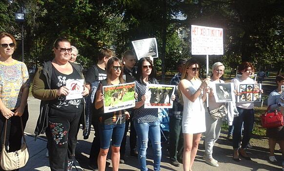 Самара присоединилась к общероссийскому митингу за права животных