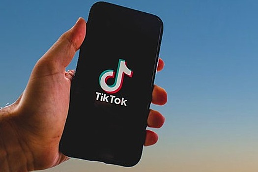 На российского депутата пожаловались после нецензурной песни в TikTok