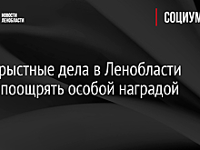 Бескорыстные дела в Ленобласти будут поощрять особой наградой