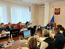 В правительстве области обсудили проблемы и задачи формирования доступной среды