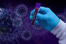 Гинцбург заявил о невозможности полностью уничтожить коронавирус