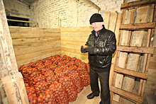 Почему не хватило денег на проект "Уральский картофель"