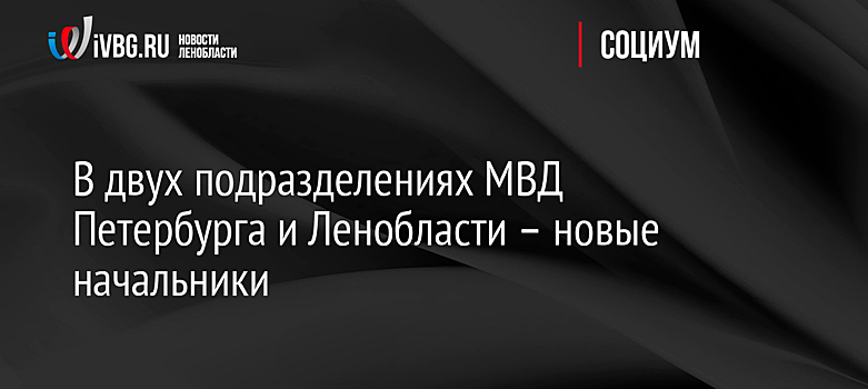 В двух подразделениях МВД Петербурга и Ленобласти – новые начальники