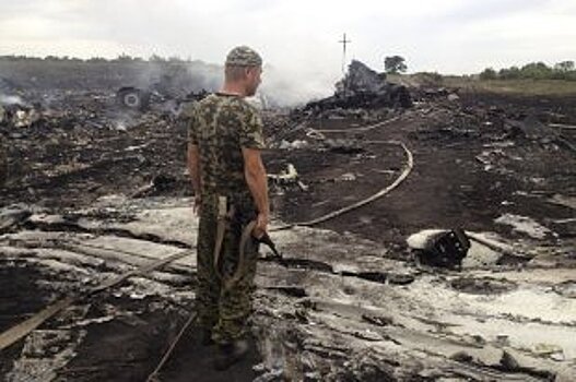 В МИД прокомментировали вышедшую в Малайзии книгу о рейсе MH17